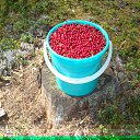 ���� ������, ���������, 62 ���� - ��������� 17 ��� 2011 � ������ �������