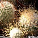 ���� ������, ������, 69 ��� - ��������� 5 ������ 2013 � ������ ���� ��������� ����������