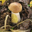 ���� �������, ���������, 24 ���� - ��������� 6 ������� 2011 � ������ ��������!!!�