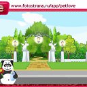 ���� ��������, ������, 49 ��� - ��������� 12 �������� 2010 � ������ �PetLove�