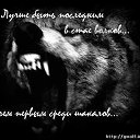 ���� ���������, �����, 48 ��� - ��������� 19 ������ 2013 � ������ ����Ȼ