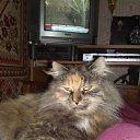 ���� Nina, �����-���������, 55 ��� - ��������� 20 ������� 2011 � ������ ���� ����������