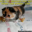 ���� ����, �����, 50 ��� - ��������� 27 ��� 2010 � ������ ������������