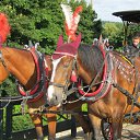 ���� ������, �����, 60 ��� - ��������� 24 ���� 2012 � ������ �������� �����