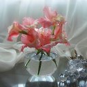 ���� ���������, ������ - ��������� 18 ���� 2013 � ������ ��������