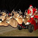 ���� �������, ���������, 35 ��� - ��������� 23 ����� 2010 � ������ ������ ������ �����