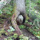 "��������� ���" - ���� ����� �� ������� ���������