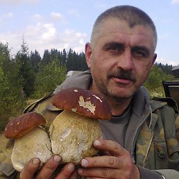 Виктор Сывый, 56, Трускавец
