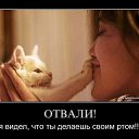 ���� �������, ������ - ��������� 27 ������ 2013 � ������ �...�� ������� ��� ���...�