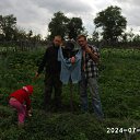 ���� ����, ��������, 43 ���� - ��������� 6 ������ 2012