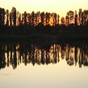 ���� ����, �������� ������ - ��������� 8 �������� 2010 � ������ ���� �����)�