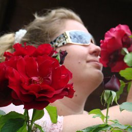 ���� �����, �����-���������, 44 ���� - ��������� 6 ����� 2012