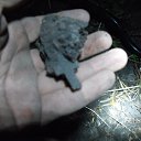 ���� �����, ����, 37 ��� - ��������� 18 ���� 2013 � ������ ������� ���