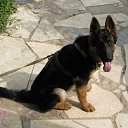 ���� ��������, ������, 55 ��� - ��������� 1 ���� 2011 � ������ ���� ������������ �������