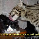 ���� ���������, ����������, 47 ��� - ��������� 3 ������� 2010 � ������ ���������