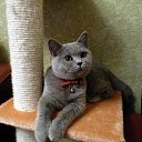 ���� Serega, ��������� - ��������� 25 ������� 2010 � ������ ������