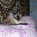 ���� �����, ������� - ��������� 2 ����� 2012 � ������ ���� ����������