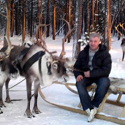 ���� Armagedon, ��������, 51 ��� - ��������� 5 ���� 2013