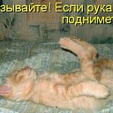 ���� Zeben, ������, 46 ��� - ��������� 10 ���� 2011 � ������ ��������� =)�