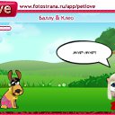  , , 22  -  28  2010   PetLove