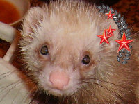 ���� ���������, ���������, 58 ��� - ��������� 7 ��� 2012