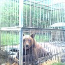 ���� �������, ������, 34 ���� - ��������� 17 ������� 2012 � ������ �������