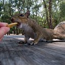 ���� �������, ������, 37 ��� - ��������� 9 ������ 2010 � ������ �������