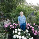 ���� �������, ������� - ��������� 20 ������� 2012 � ������ ���� ����������