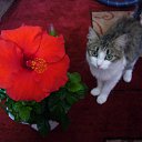 ���� Natali, ������, 67 ��� - ��������� 9 ������ 2011 � ������ ������ ���߻