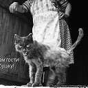 ���� �������, ���������� - ��������� 10 ������ 2011 � ������ ���� ����������