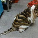 ���� ����������, ������� - ��������� 9 ������ 2013 � ������ ���� ����������