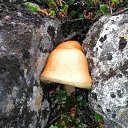  ,  -  18  2009     .