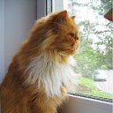 ���� �������, ������ - ��������� 22 ������ 2012 � ������ ���� �����