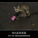 ���� ����, ������, 48 ��� - ��������� 8 ���� 2011 � ������ ����