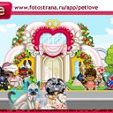 ���� ��������*���*, ������, 41 ��� - ��������� 9 ������� 2011 � ������ �PetLove�