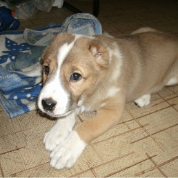 ���� Eeeee, ������, 54 ���� - ��������� 29 ��� 2010