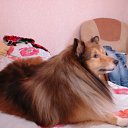 ���� ����, ������, 58 ��� - ��������� 17 ������� 2012 � ������ ���� ����������