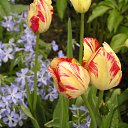  ok, --, 44  -  7  2010   