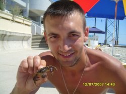 ���������, ������, 43 ����