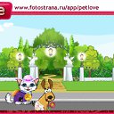  , , 26  -  29  2010   PetLove