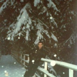 ����, �������������-����������, 40 ���