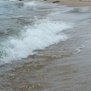  , , 42  -  1  2012    2012