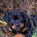 ���� �������, �������-��������� - ��������� 21 ������� 2010 � ������ ���������