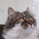 ���� ��������, �������, 58 ��� - ��������� 24 ������ 2011 � ������ ������� �����(����� ������ ������)�