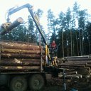 ���� �������� ����, ������, 51 ��� - ��������� 18 ����� 2012 � ������ ���� ����������