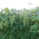 ����� �������� �� ����� �� ������� ����������� �����