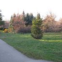 ���� �����, ������, 73 ���� - ��������� 5 ������ 2011 � ������ ������������ ����������