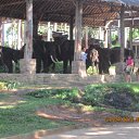 ���� �������, ������, 68 ��� - ��������� 1 ���� 2012 � ������ ���� ����������