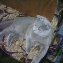 ���� �����, �������, 28 ��� - ��������� 21 ������� 2010 � ������ �������� ��� ���