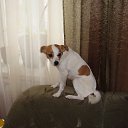 ���� �������, ����, 69 ��� - ��������� 6 ���� 2013